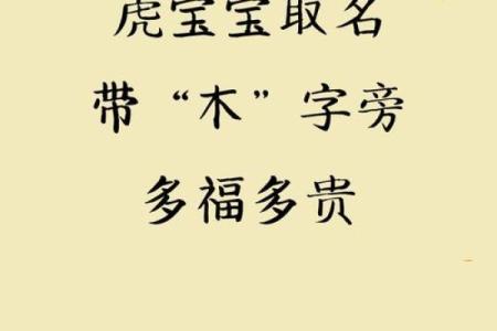 木字在宝宝起名中的寓意与选择指南