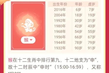 猴年狗人运程解析：运势大揭秘