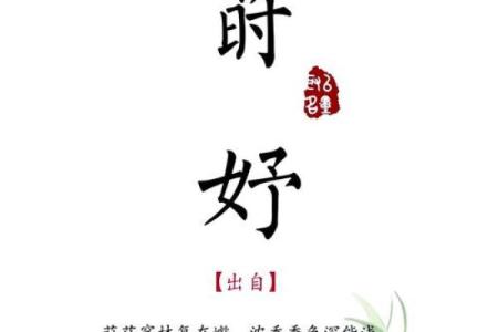 独特且有韵味的名字昵称大全