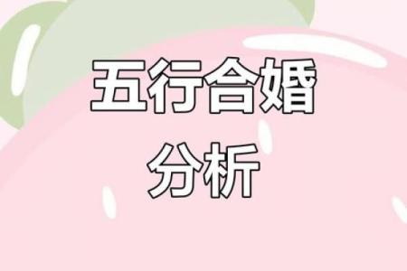 婚姻五行能决定婚姻幸福吗？揭秘五行与婚姻的关系