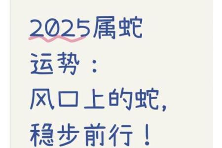 属蛇人的一生运势：如何把握好运与化解挑战
