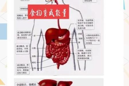 食物元素如何为宝宝起名增添趣味