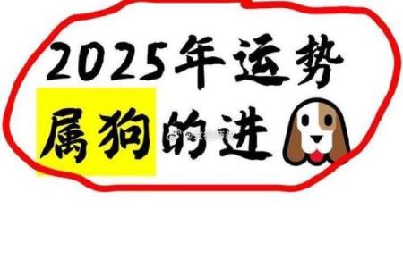 属狗人本周运程预测：事业与感情的双重挑战