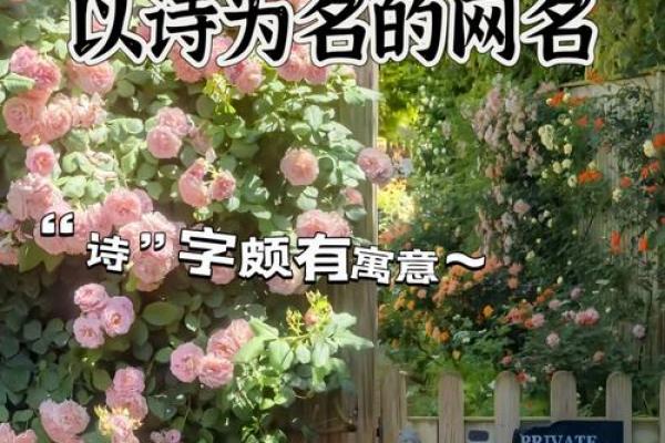 韵味名字的艺术:为你的孩子取个有意义的名字 韵味名字的艺术:为你的孩子取个有意义的名字