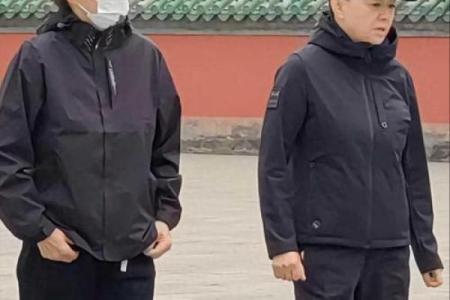 宋丹丹八字解析：解读她的命格与人生选择