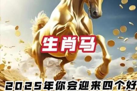 属马人事业与财富运势概述