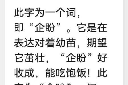 盼五行属什么？揭秘盼字的五行属性及其含义