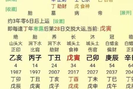 八字与职场晋升：如何借助命理规划未来