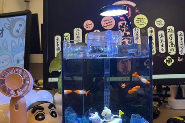 探索鱼缸水位高度在风水中的关键作用