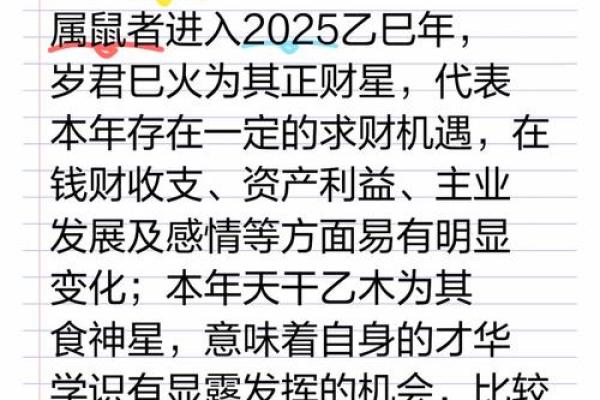 属鼠人的事业与财运运势展望 属鼠人的事业与财运运势展望