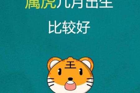 农历十月属虎人的财运是否旺盛