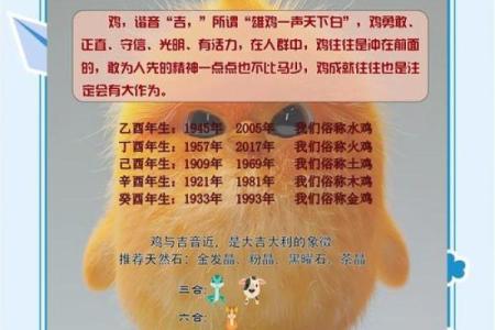 属鸡人运势详解：机遇与风险并存