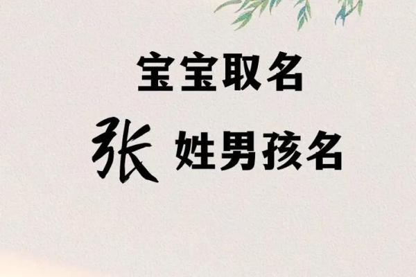 为张姓狗年宝宝取个独特又有意义的名字 为张姓狗年宝宝取个独特又有意义的名字