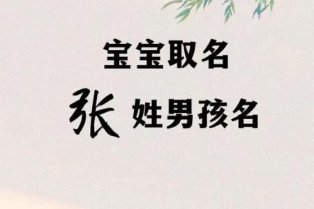 为张姓狗年宝宝取个独特又有意义的名字