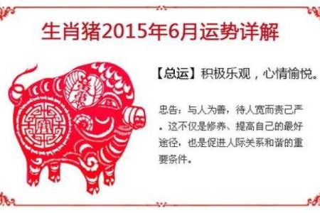 属猪人士的运程及注意事项
