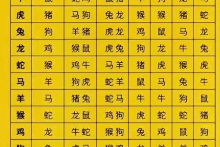 八字算命免费体验，看看你的人生能量