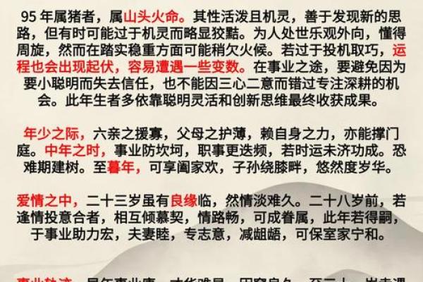 属猪人本命年事业规划建议 属猪人本命年事业规划建议