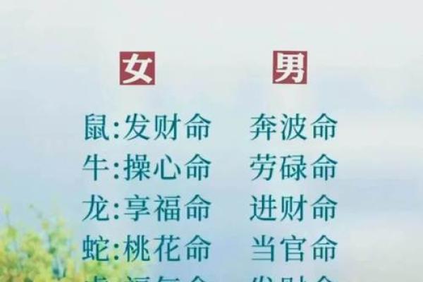 揭开农历十二生人的神秘面纱，你的生肖影响你的一生