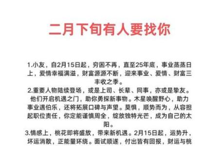属猪人本命年事业规划建议
