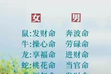 揭开农历十二生人的神秘面纱，你的生肖影响你的一生