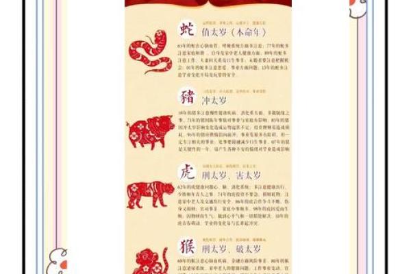 本命年虎女的社交圈建设与运势提升