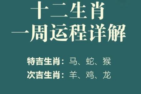 2024年属相运势大揭秘：你的生肖运势如何？
