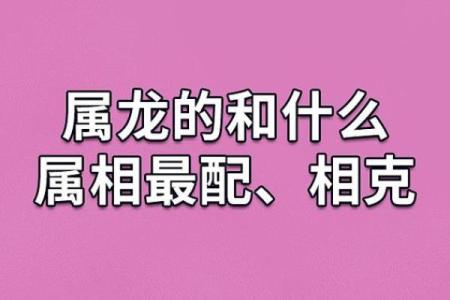 属龙女与属龙男的星座配对分析与婚姻前景
