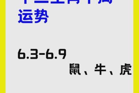 鼠兔搭配在一起能否长久？从性格到运势的全方位分析