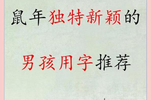 鼠年男孩名字大全:从传统到现代的精选取名方案 鼠年男孩名字大全:从传统到现代的精选取名方案