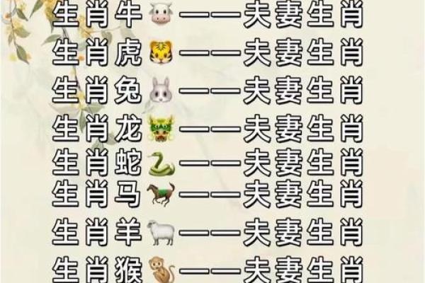 属虎和属兔的关系:性格差异如何影响感情匹配 属虎和属兔的关系:性格差异如何影响感情匹配