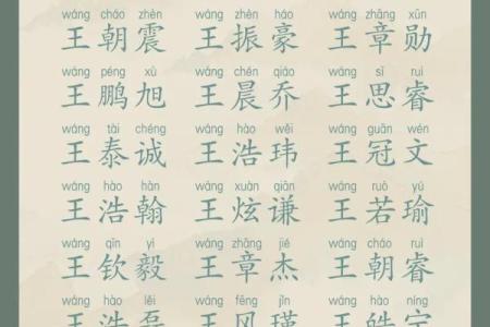 王姓取名字的技巧与注意事项