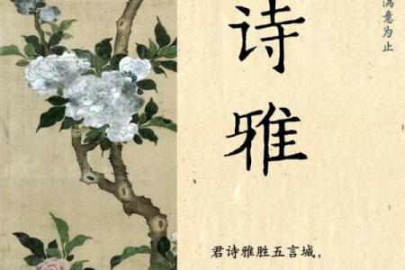为女孩挑选诗意名字的艺术