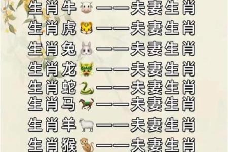 属虎和属兔的关系：性格差异如何影响感情匹配