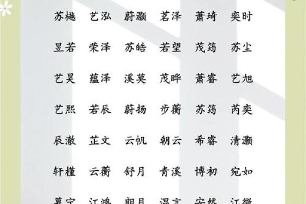 时姓男孩名字大全：让孩子更具魅力的名字推荐
