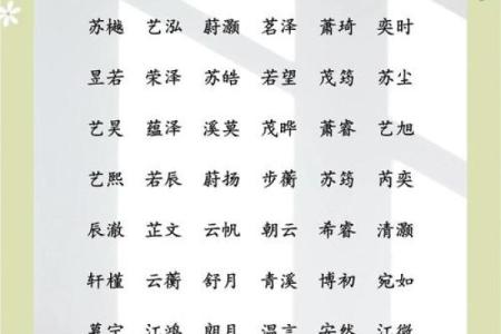 时姓男孩名字大全：让孩子更具魅力的名字推荐
