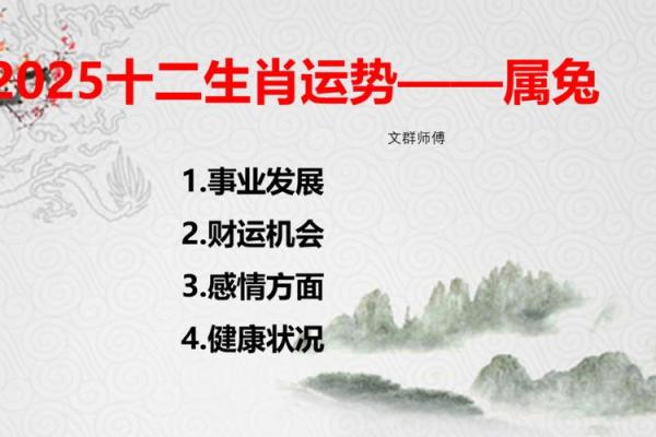 如何在属兔的运势中把握机会 如何在属兔的运势中把握机会
