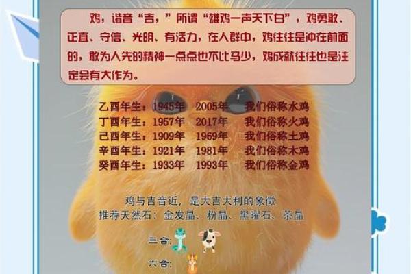 鸡人运程分析:事业、财富与感情的起伏 鸡人运程分析:事业、财富与感情的起伏
