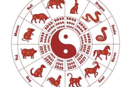 属牛与属虎的关系：冲突还是互补？