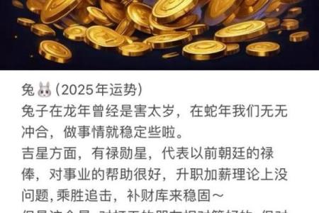 如何在属兔的运势中把握机会
