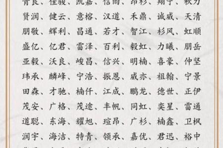 公司免费起名测分数，快速找到最适合的品牌名称
