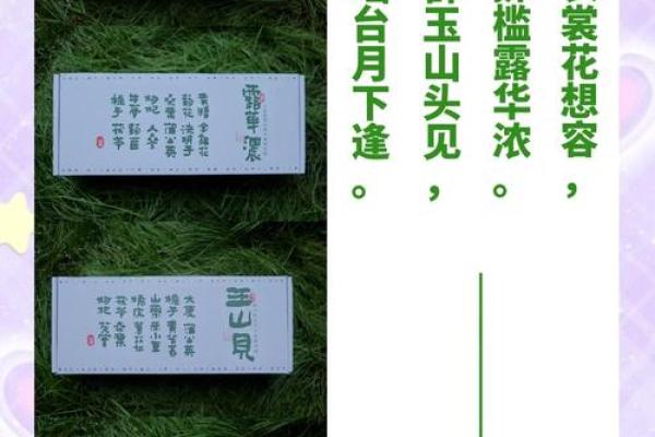 诗意命名:古诗中的灵感与企业品牌的完美结合 诗意命名:古诗中的灵感与企业品牌的完美结合