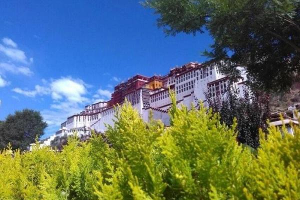 早晨九点半出生,生辰八字透露的神秘信息 早晨九点半出生,生辰八字透露的神秘信息