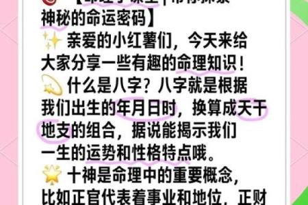 朱婷八字命理解析：背后的命运密码是什么