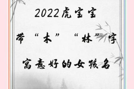 如何为林女孩挑选寓意美好的名字
