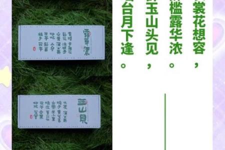 诗意命名：古诗中的灵感与企业品牌的完美结合