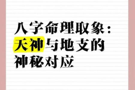 早晨九点半出生，生辰八字透露的神秘信息
