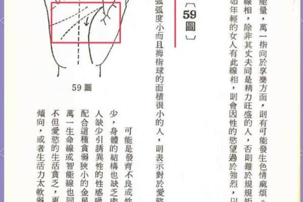 手相风水揭秘 如何通过手相改善运势与生活质量 手相风水揭秘 如何通过手相改善运势与生活质量