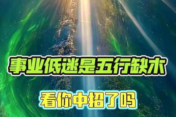 五行中高粱的能量与健康关系揭秘 五行中高粱的能量与健康关系揭秘
