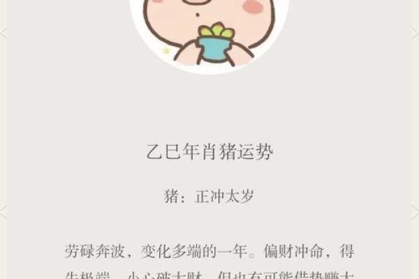 属猪人运势全面分析 属猪人运势全面分析