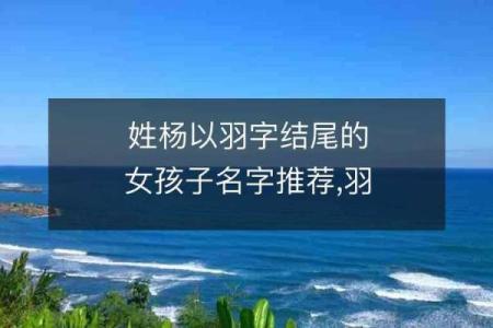 羽字名字在现代与传统中的完美融合